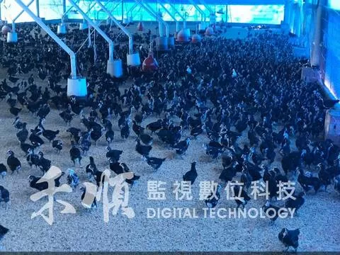 屏東養雞場監視器系統安裝 屏東監視器系統安裝