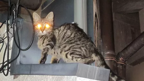 高雄監視器系統推薦